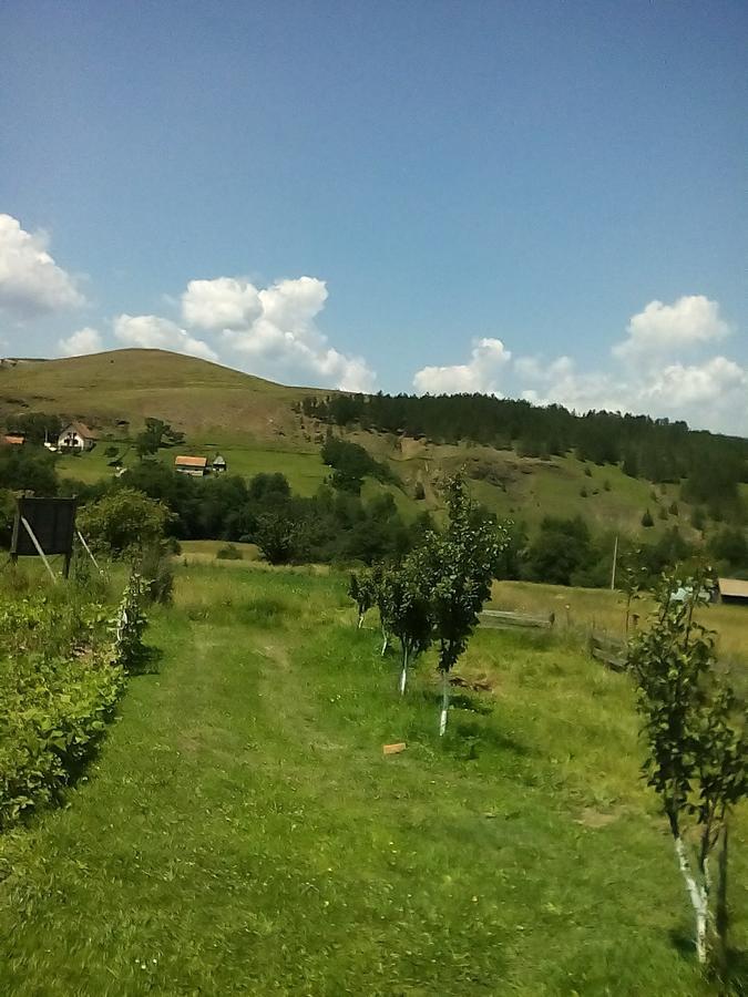 Holiday Home Vila Milka Kremna Exterior foto