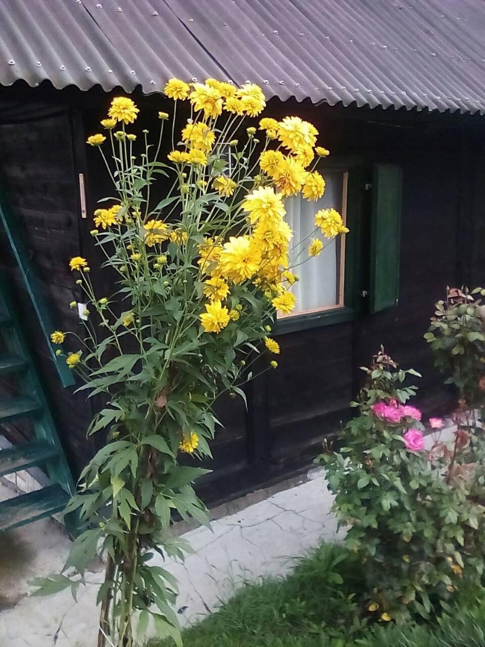 Holiday Home Vila Milka Kremna Exterior foto